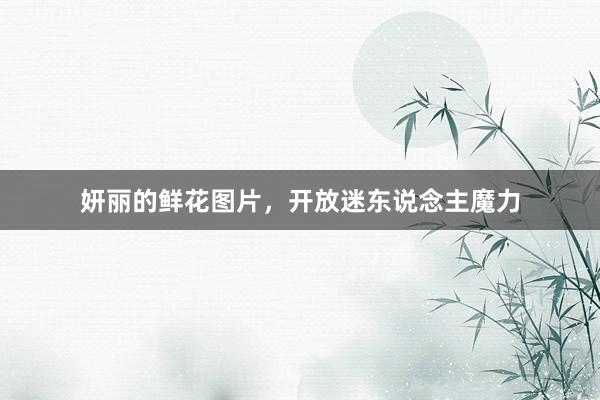 妍丽的鲜花图片，开放迷东说念主魔力