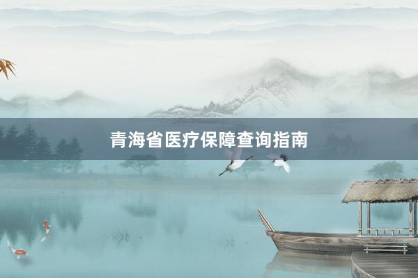 青海省医疗保障查询指南
