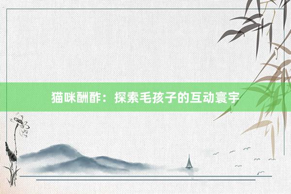 猫咪酬酢：探索毛孩子的互动寰宇